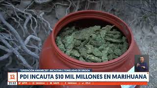 "Operación Amanecer": PDI incauta $10 mil millones en marihuana