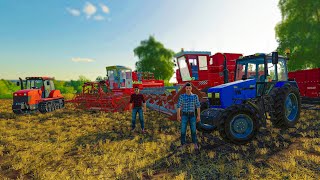 УБОРКА ПШЕНИЦЫ НА ДВУХ КОМБАЙНАХ И СРАЗУ КУЛЬТИВАЦИЯ!FARMING SIMULATOR-19