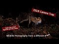 DSLR Camera trap - An image against all the odds