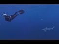 VR swim with sharks off the coast of Oahu