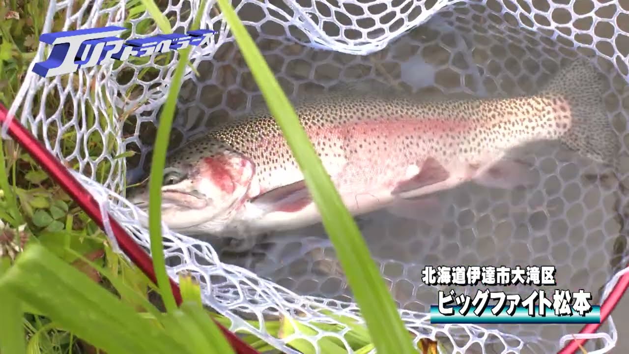 YouTube_G5OXf9GqdMUサムネイル