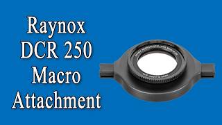 Raynox DCR 250 Macro Attachment