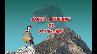 ΚΥΝΗΓΙ ΠΕΡΔΙΚΑΣ ΜΕ ΝΤΡΑΧΤΑΑΡ