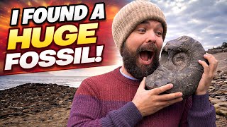 I Found One Of My Dream Fossil Finds!