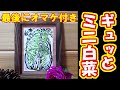 【絵手紙】#127  ギュッとミニ白菜　ハガキは栄・お習字の筆使用【顔彩】
