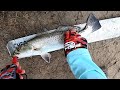Early Morning fishing! #fishing #pesca #fish #outdoors #fishinglife 