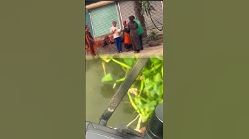 Những đoạn video sư Minh Tuệ mất nồi cơm điện