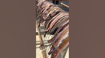 Nuôi giun đất làm thực phẩm