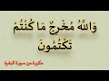 والله مخرج ما كنتم تكتمون مكررة30 دقيقه 