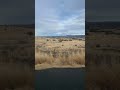 Pt. 1 of Arizona compilation #offroadi̇ng #usaroadtrip #roadtrip #desert #nature #desertlife