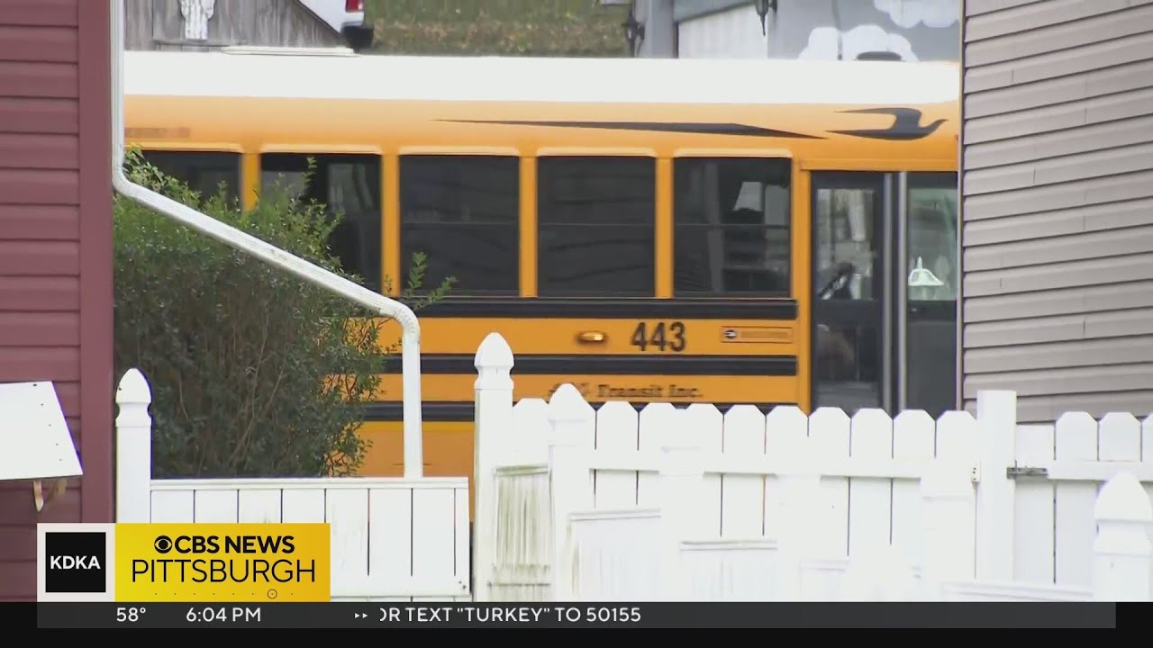 Police crack down on drivers illegally passing school buses - YouTube