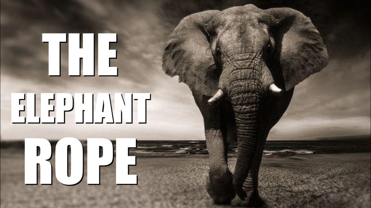 The Elephant Rope English Storie ❤