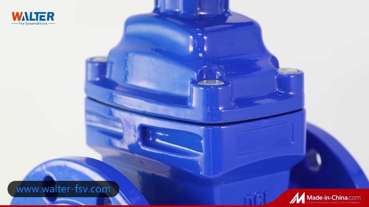 WALTER NRGV BS5163 Resilient Seated Gate Valve