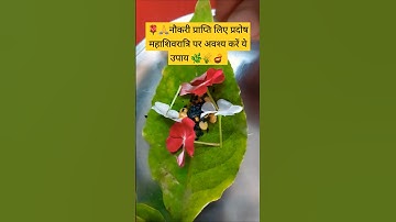 25 फरवरी प्रदोष व 26 फरवरी शिवरात्रि पर 1बेलपत्र और 7चावल का महाउपाय नौकरी के लिए #shorts #youtube