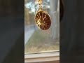 Twins Mother's Locket