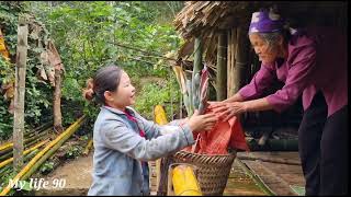 A girl harvesting taro met a man and proposed her love to him