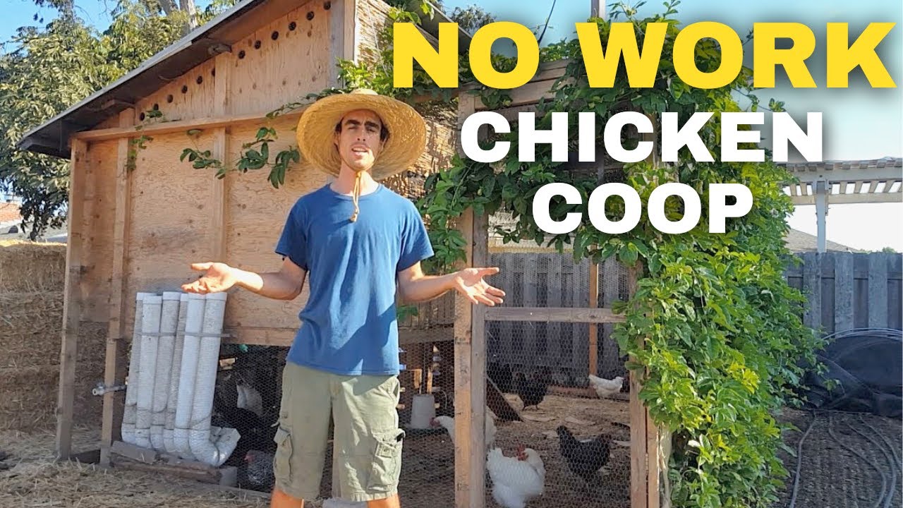 Backyard Chicken Coop Build | How To | DIY | MICRO GARDEN