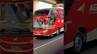 DRIVING VLOG Hunting bus AGRAMAS angkatan pagi menuju timur#agramasmania #busmania