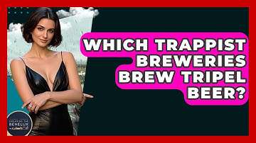 Which Trappist Breweries Brew Tripel Beer? - Exploring The Benelux