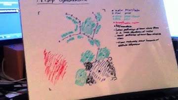 The Old World: Map Generation Concept