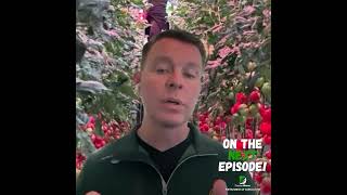 Why Your Vegetables Are About to Come From Closer to Home