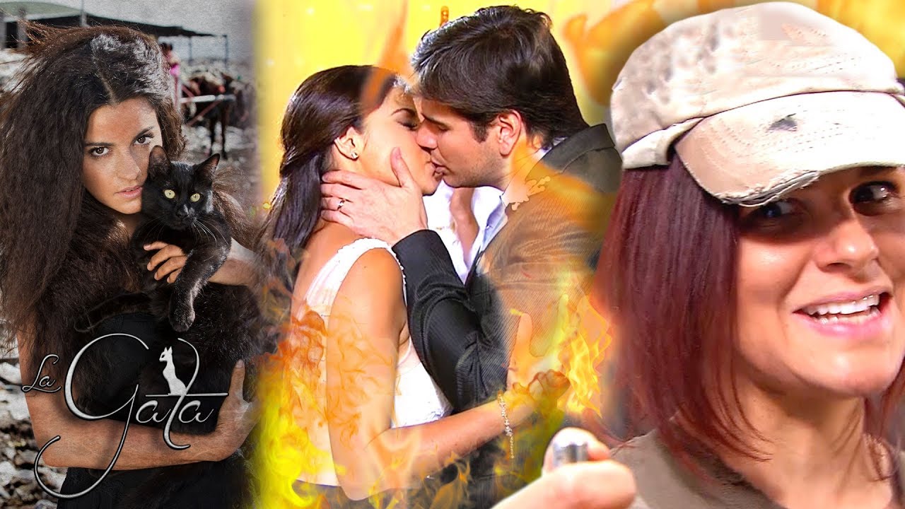 La Gata - Capítulo 60: La boda de Esmeralda y Pablo - Tlnovelas