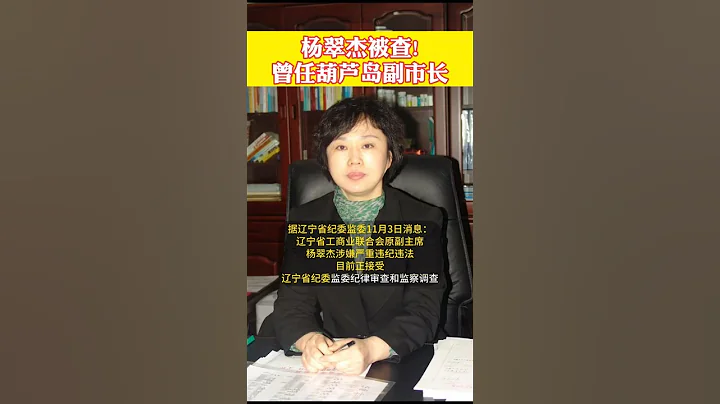 辽宁省工商业联合会原副主席杨翠杰被查 - 天天要闻