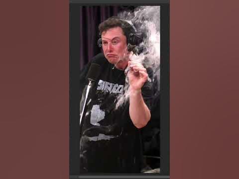 Extending Elon Musk Using AI - YouTube