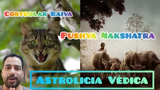 Controlar raiva, Câncer, Pushya Nakshatra - Astrologia Védica