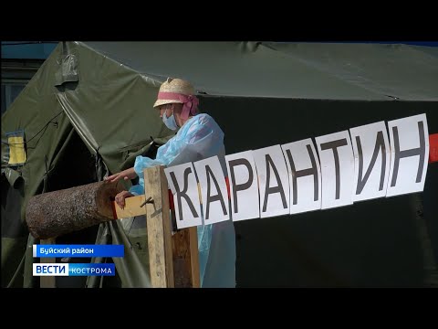 Video: Kas Yra žinoma Kostroma