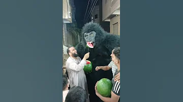 حد شاف الغوريلا هيها وبتاكل بطيخ Panda اكسبلور ترند الغوريلا Explore Music فولو 