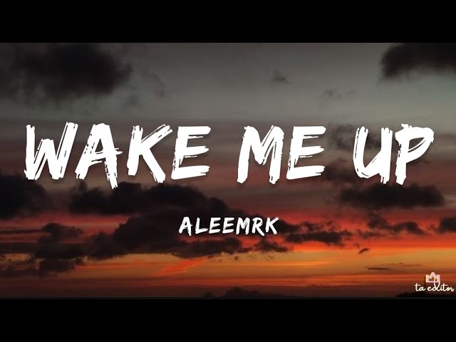 aleemrk - Wake Me Up (Lyrics) class=