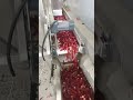 AMD Chili/Pepper Color Sortex/Sorting Machine