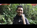 MAKAN MAKANAN HUTAN ( SURVIVAL SKILLS ) MENDIRIKAN BIVAK DARURAT!