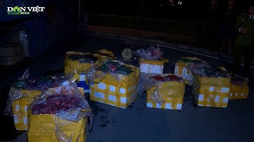 Thu giữ số lượng lớn nội tạng trâu, bò đông lạnh đang bốc mùi hôi thối