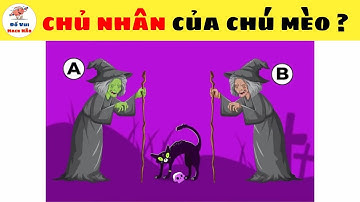 🧠 Thử Thách Trí Tuệ Với Loạt Câu Đố Hack Não - Khiến Bạn Xoắn Não Không Thể Bỏ Qua