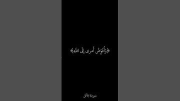 فستذكرون ما أقول لكم وأفوض أمري إلى الله | سورة غافر-أبو بكر الشاطري