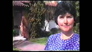Palo Alto libraries 1991