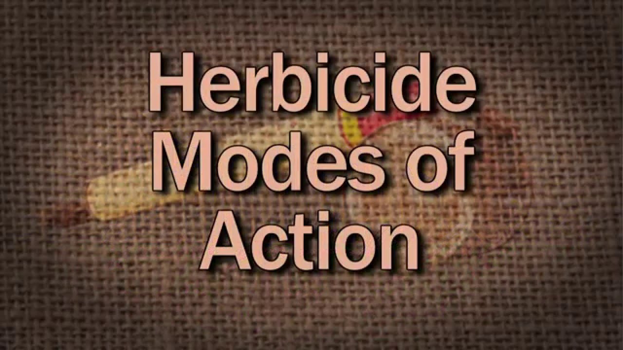 Herbicide Modes Of Action - Family Plot - YouTube