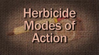 Herbicide Modes Of Action - Family Plot
