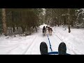 Катание на собачьей упряжке / Dog sledding