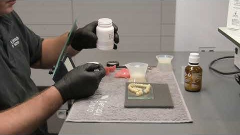 inLab SW 20 Tutorial 5a (EN) - Digital Dentures – Bonding – Individual teeth