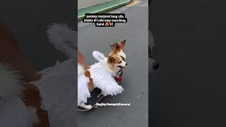 parang marjoret lang sila joyjoy at lala with marching band😍🐕 #dog #pet
