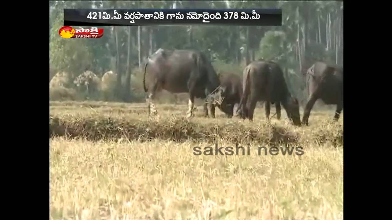 Kharif Crop problems in AP