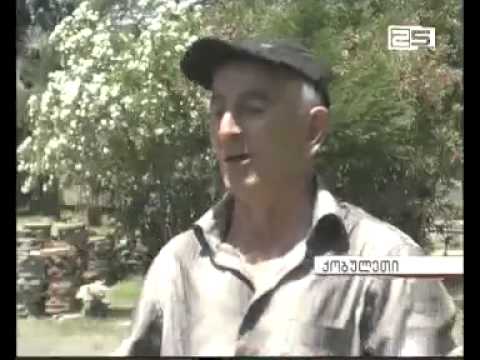 კოოპერატივების წარმომადგენლებს და ფერმერებს ზაურ ფუტკარაძე შეხვდა