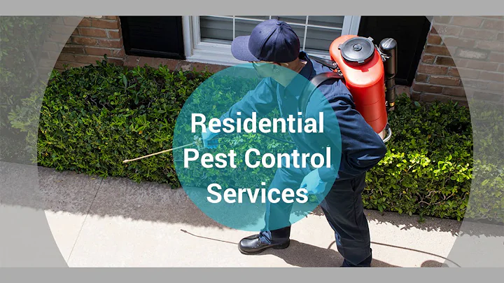Pest Control and Prevention Tips | Hubert Moore Ex...