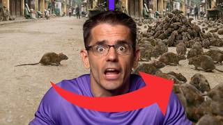 Download Lagu Chceli vyhubiť všetky potkany, spôsobili presný opak MP3