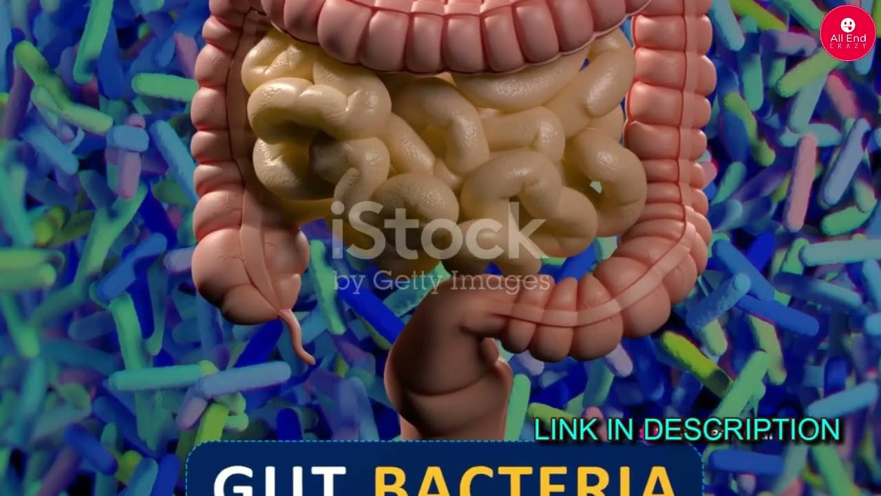 GutOptim Reviews: Comprehensive Review of GutOptim Supplements for Health