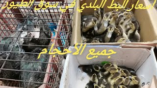 قبل ماتشتري بط بلدي شوفي الفيديو ده أسعار البط البلدي السوداني في سوق الطيور جميع الاحجام