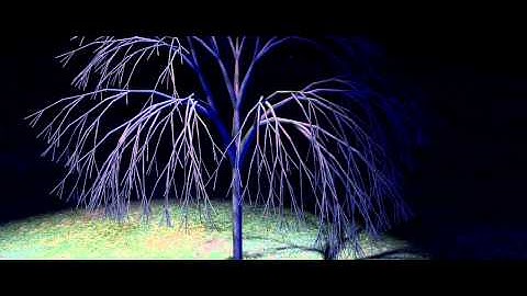 Parametric L-System Trees